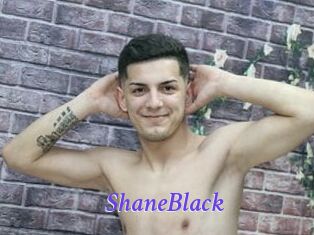 ShaneBlack