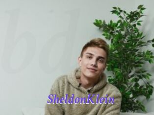 SheldonKlein