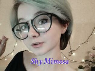 Shy_Mimosa