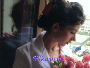 Silkworm