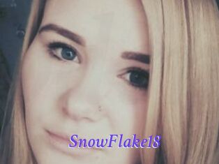 SnowFlake18