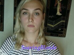 SoaringBlonde