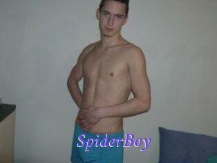 SpiderBoy