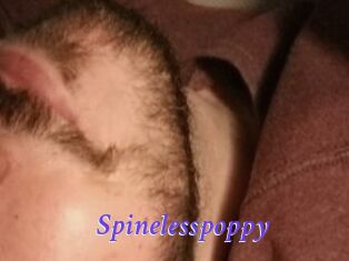 Spinelesspoppy