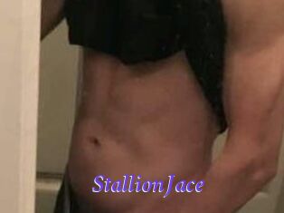 StallionJace