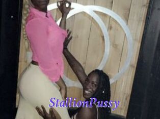 StallionPussy
