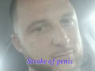 Stroke_of_penis