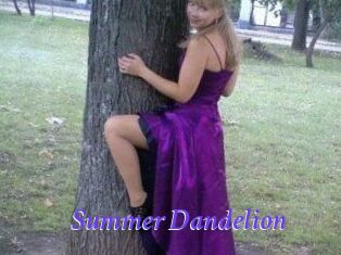 Summer_Dandelion