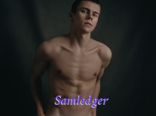 Samledger