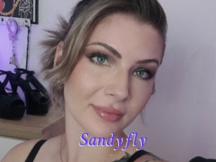 Sandyfly