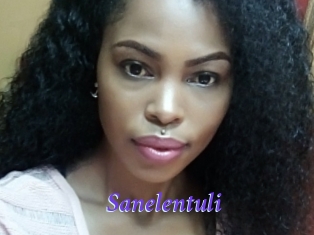 Sanelentuli