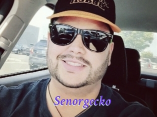 senorgecko Bdsm gratuit