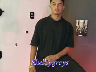 Shelbygreys