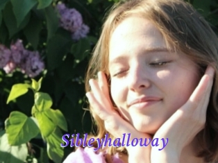 Sibleyhalloway