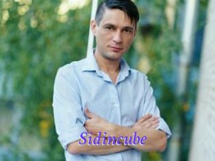 Sid_incube