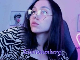Silicialumberg
