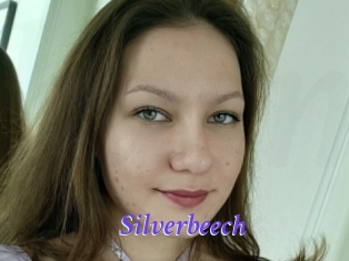 Silverbeech