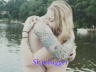 Skyebugger