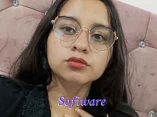 Sofiware