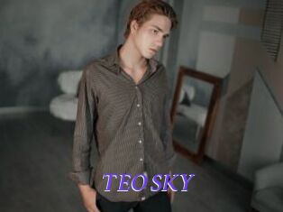 TEO_SKY