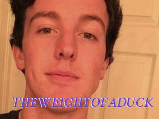 THEWEIGHTOFADUCK