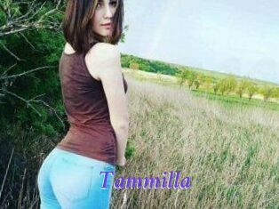 Tammilla_