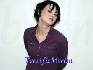 TerrificMerlin