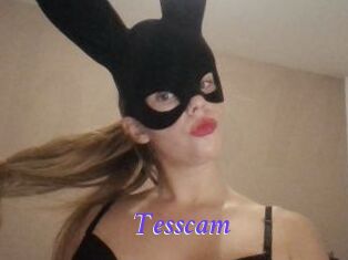 Tesscam