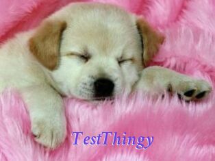 TestThingy