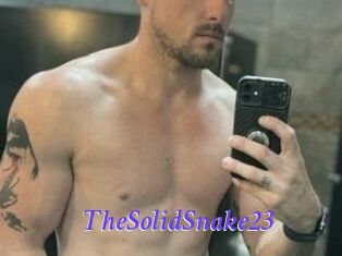 TheSolidSnake23