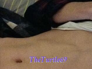 TheTurtle69