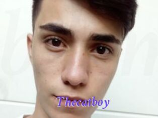 Thecatboy