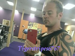 Tigerstripes6767