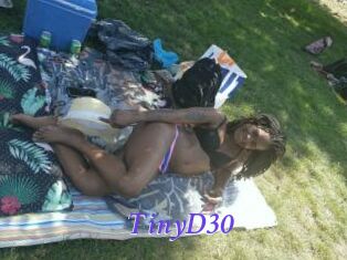 TinyD30
