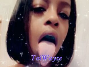 ToiWayze