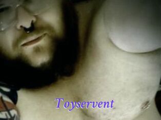 Toyservent