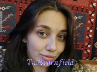 Taitecornfield