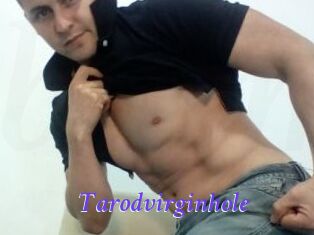 Tarodvirginhole