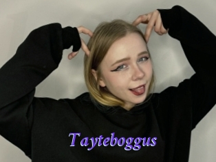 Tayteboggus