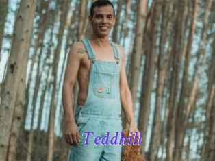 Teddhill