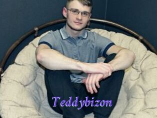 Teddybizon