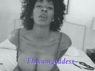 Thecamgoddess
