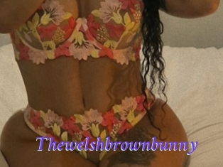 thewelshbrownbunny Bdsm gratuit