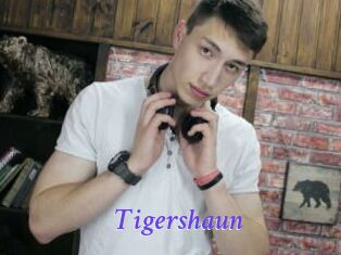 Tigershaun