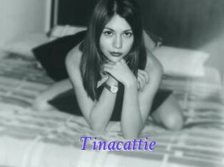 Tinacattie