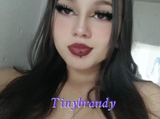Tinybrandy