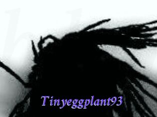 Tinyeggplant93