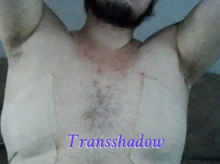 Transshadow