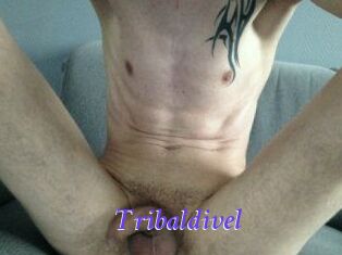 Tribaldivel