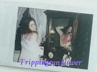 Trippingsunflower